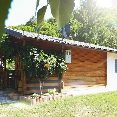 Studio Apartman Firdaus-Bihac, Dobrenica Bb エクステリア 写真