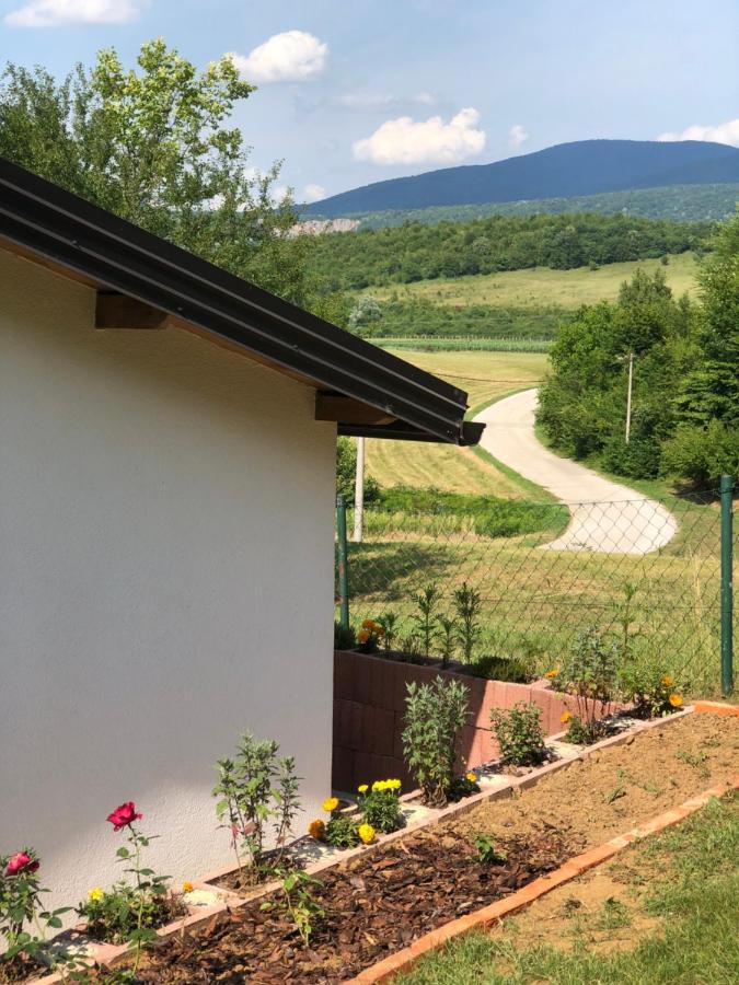 Studio Apartman Firdaus-Bihac, Dobrenica Bb エクステリア 写真
