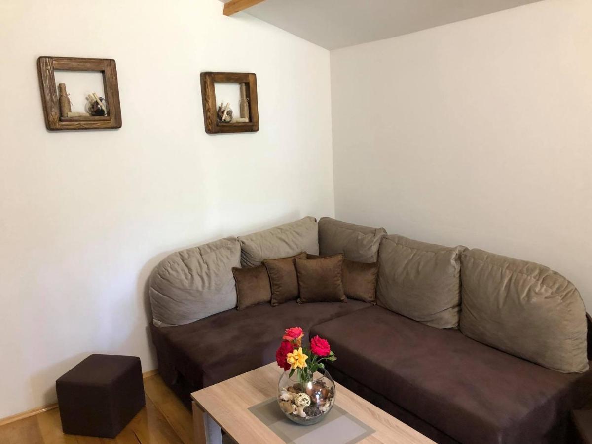 Studio Apartman Firdaus-Bihac, Dobrenica Bb エクステリア 写真
