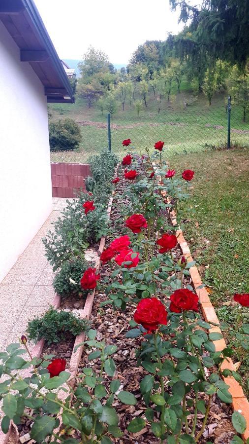 Studio Apartman Firdaus-Bihac, Dobrenica Bb エクステリア 写真