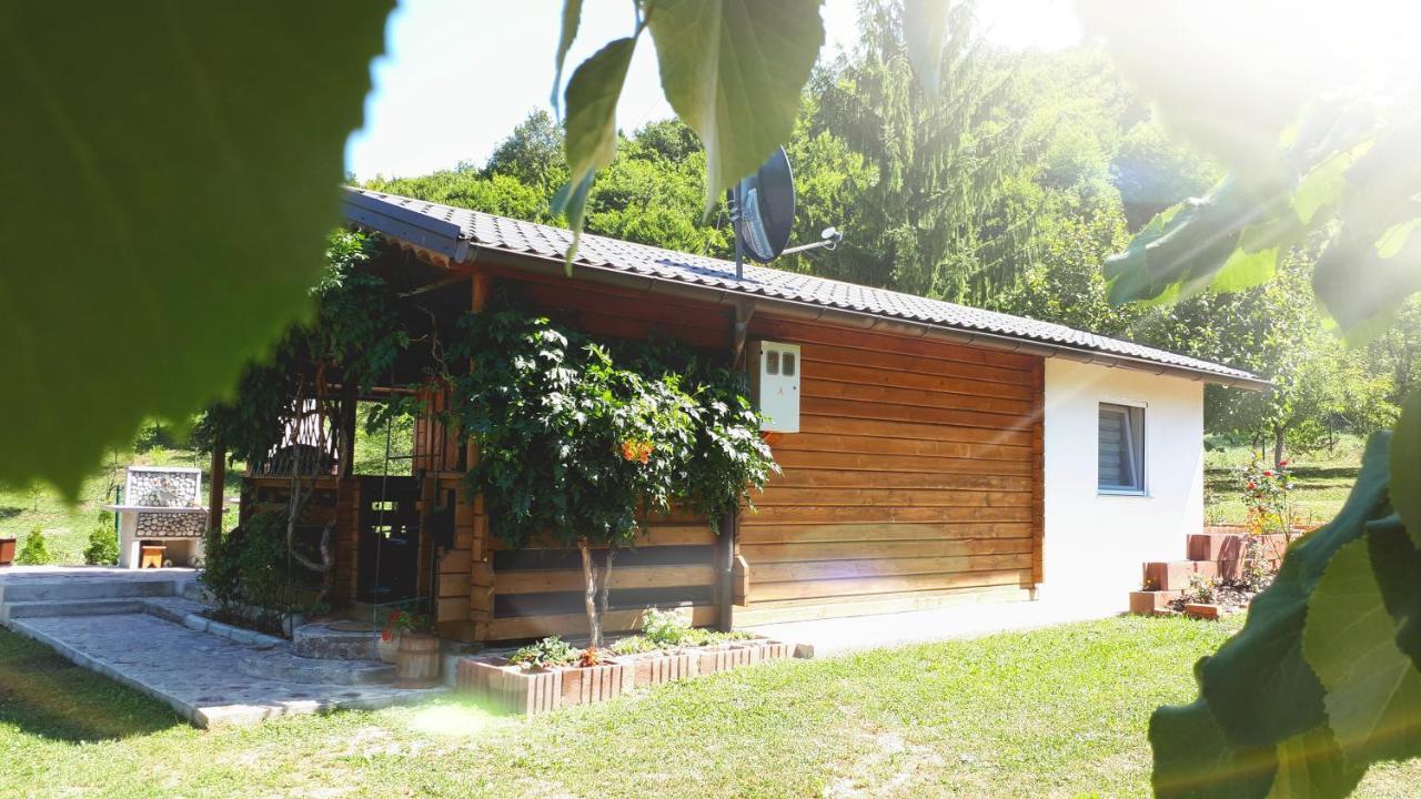 Studio Apartman Firdaus-Bihac, Dobrenica Bb エクステリア 写真