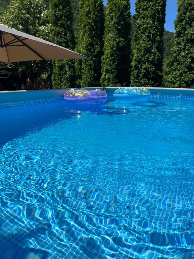 Studio Apartman Firdaus-Bihac, Dobrenica Bb エクステリア 写真