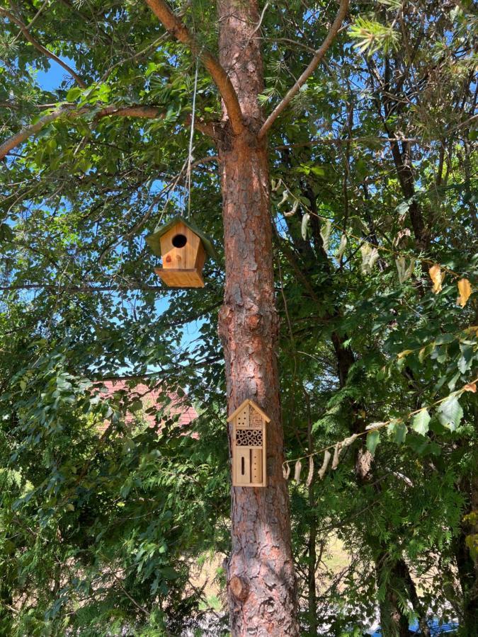 Studio Apartman Firdaus-Bihac, Dobrenica Bb エクステリア 写真
